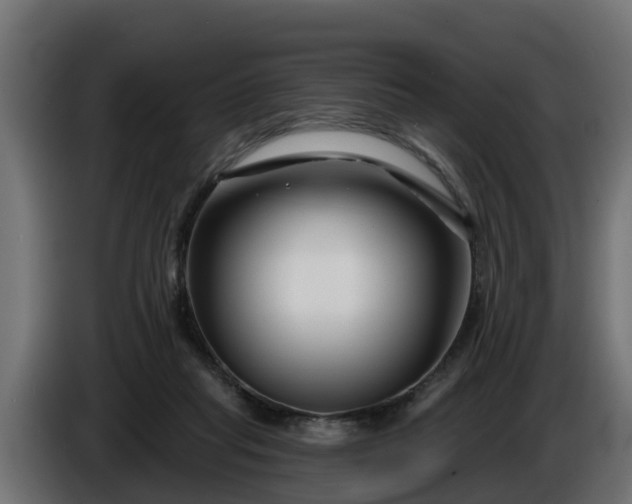 X0000086320261200704131700