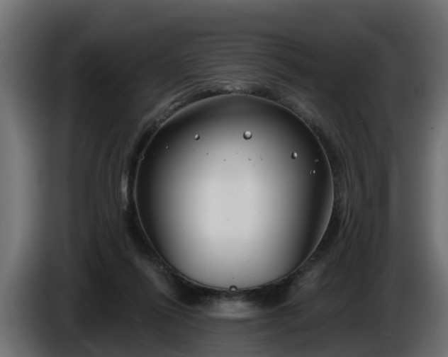 X0000086320262200704131700