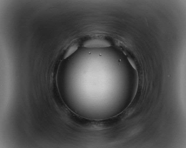 X0000086320263200704131700