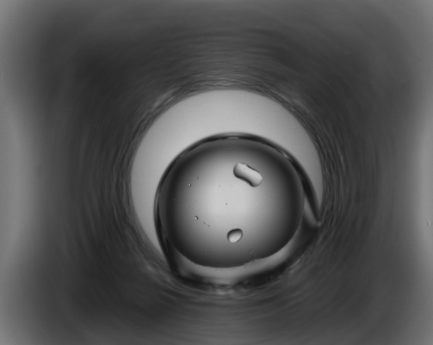 X0000086320264200704131700