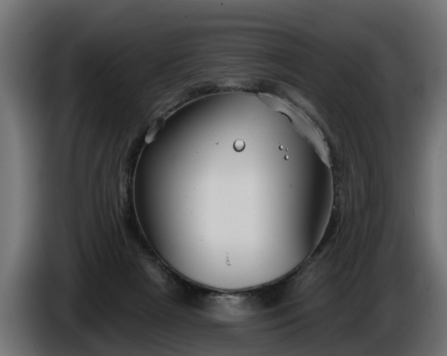 X0000086320265200704131700