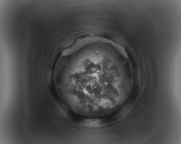 X0000086320266200704131700