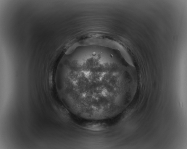 X0000086320267200704131700