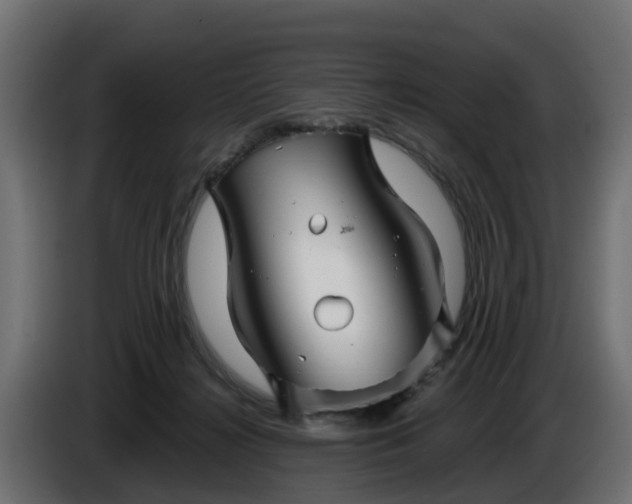 X0000086320268200704131700