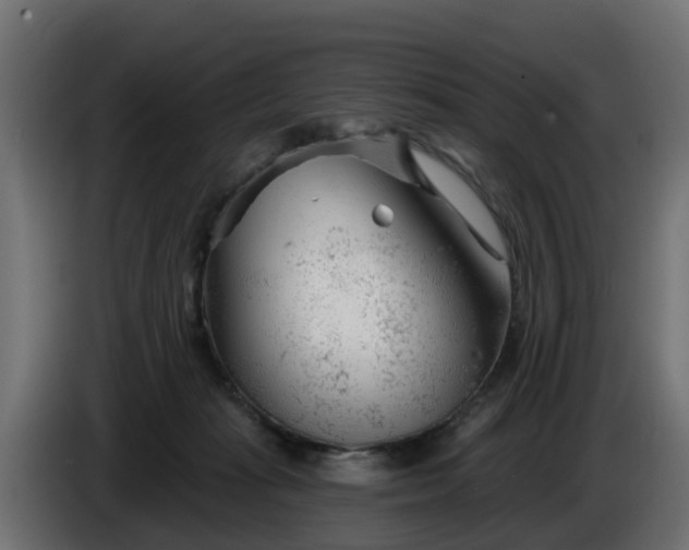 X0000086320269200704131700