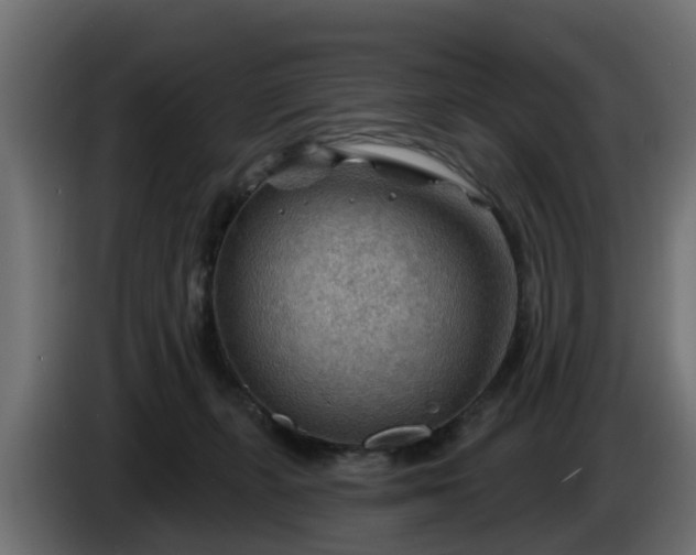 X0000086320271200704131700