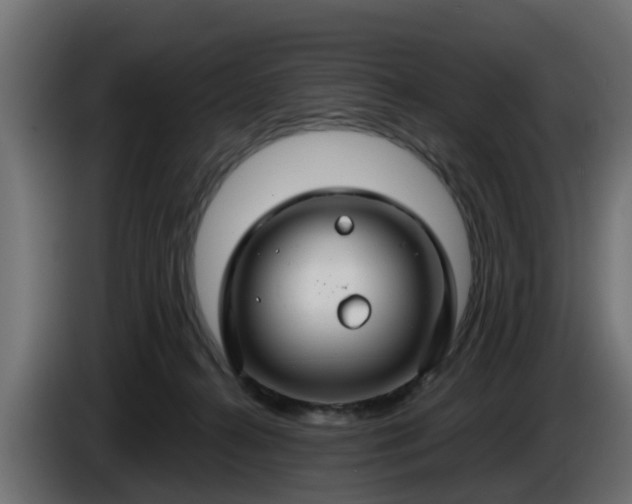 X0000086320272200704131700