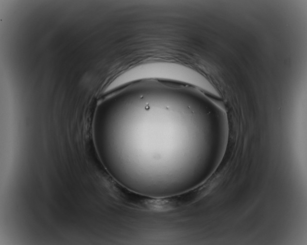 X0000086320273200704131700