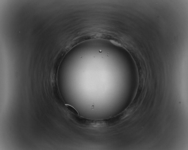 X0000086320274200704131700