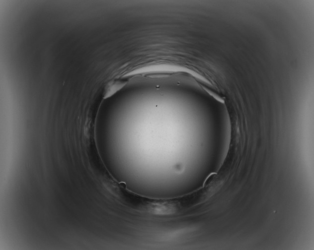 X0000086320275200704131700