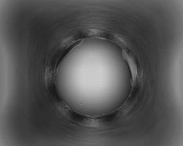 X0000086320276200704131700