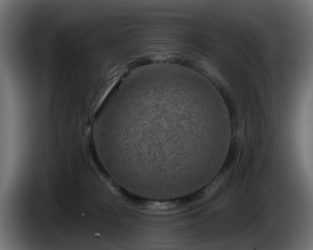 X0000086320277200704131700