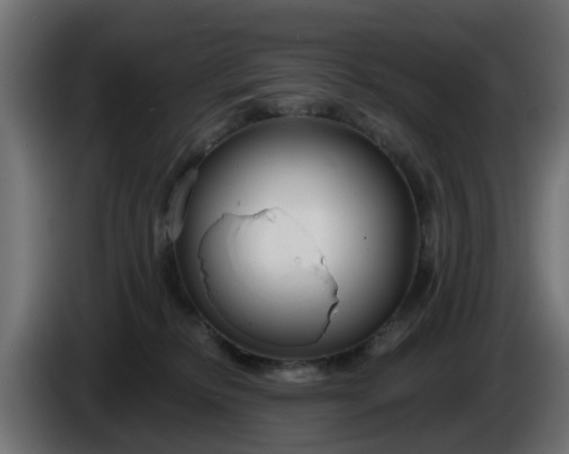 X0000086320278200704131700