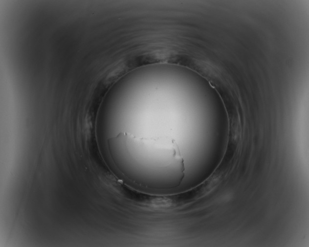 X0000086320279200704131700