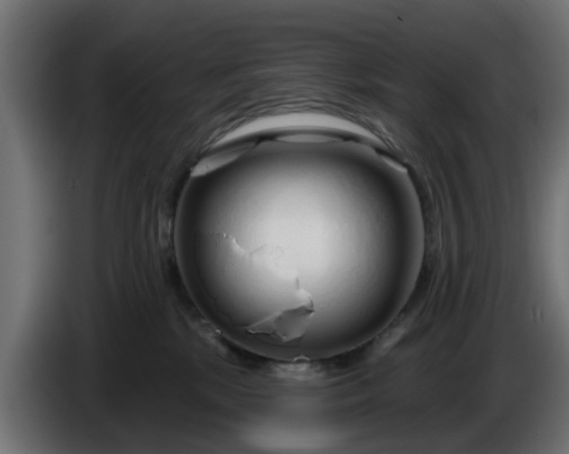 X0000086320281200704131701