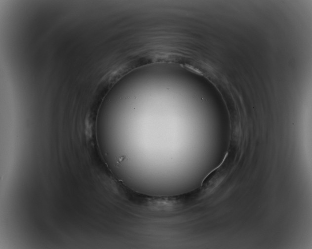 X0000086320282200704131701