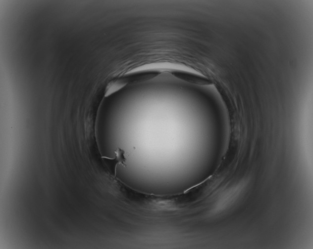 X0000086320283200704131701