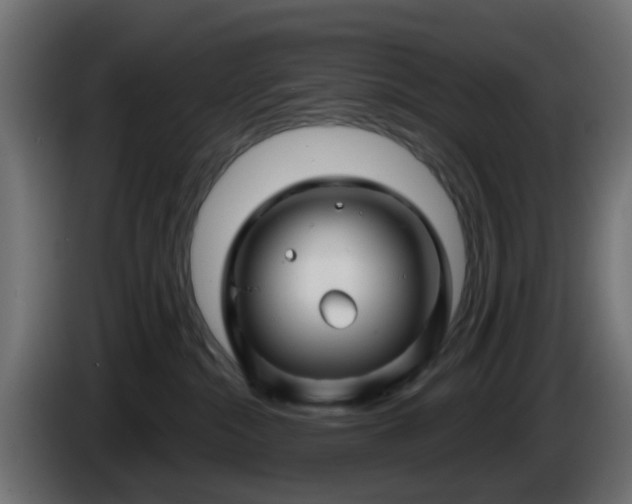 X0000086320284200704131701