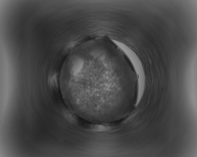 X0000086320286200704131701