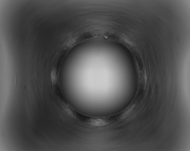 X0000086320287200704131701