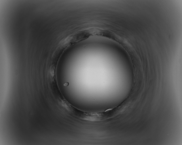 X0000086320288200704131701