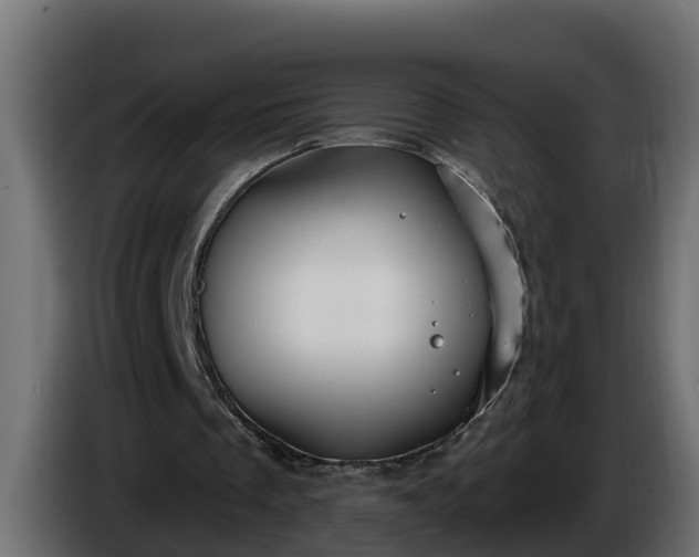 X0000086320289200704131700