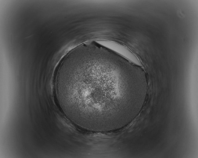 X0000086320290200704131700