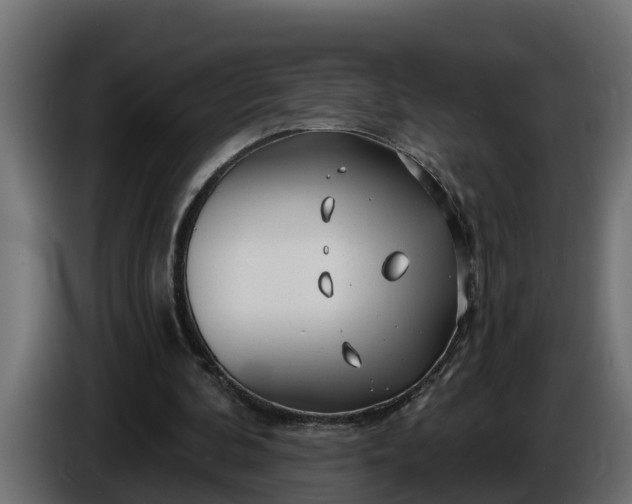 X0000086320292200704131700