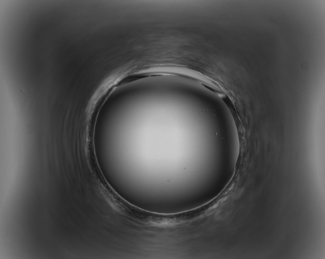 X0000086320293200704131700