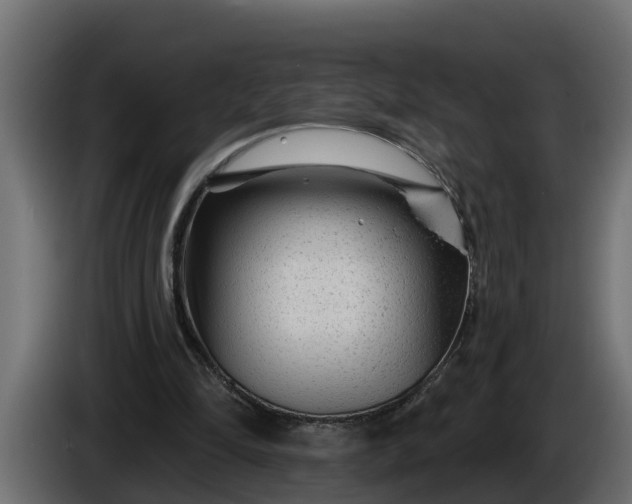 X0000086320294200704131700