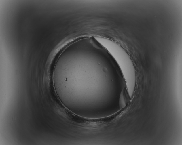 X0000086320295200704131700