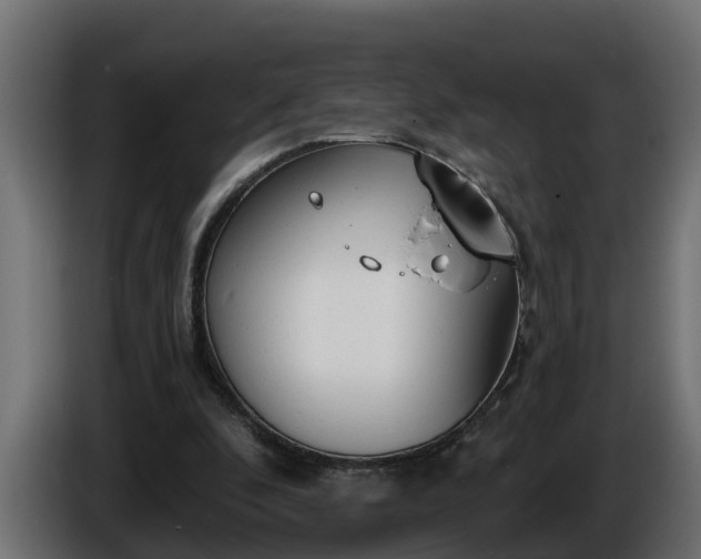 X0000086320296200704131700