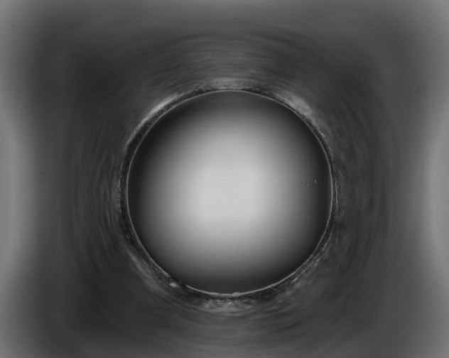 X0000086320297200704131700