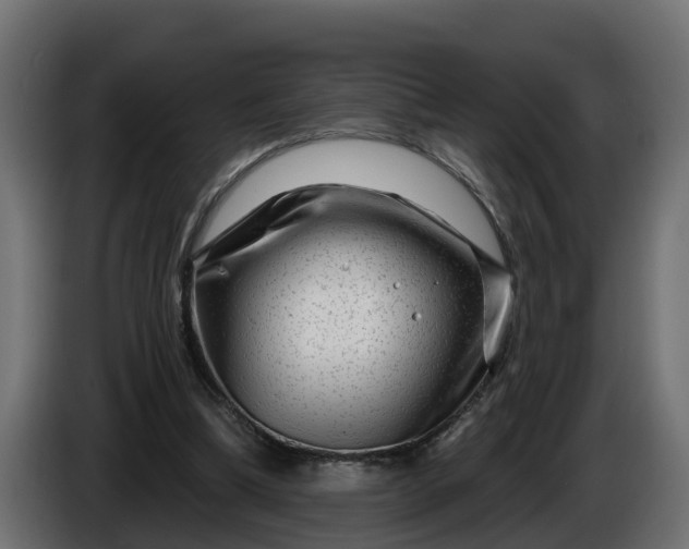 X0000086320298200704131700