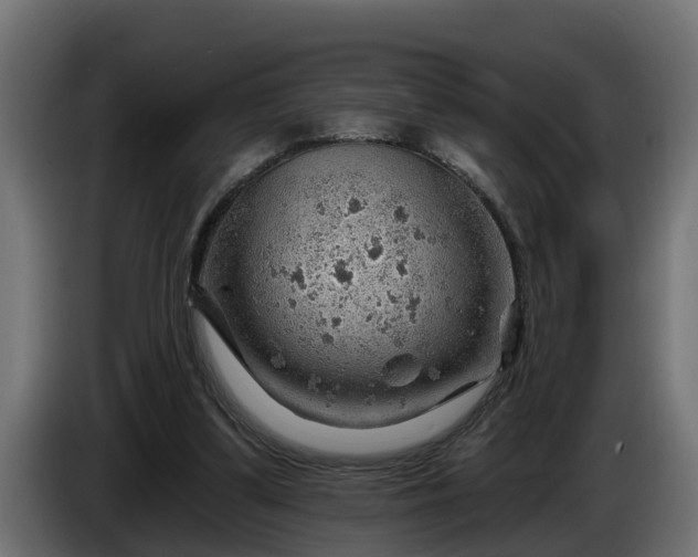 X0000086320299200704131700