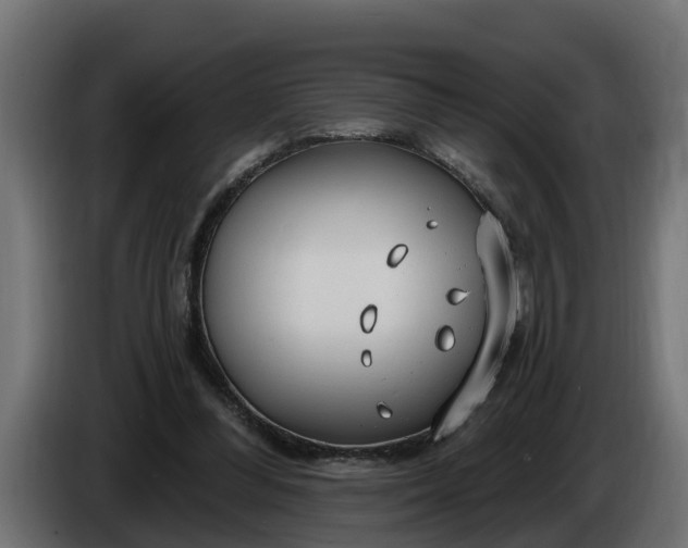 X0000086320300200704131700