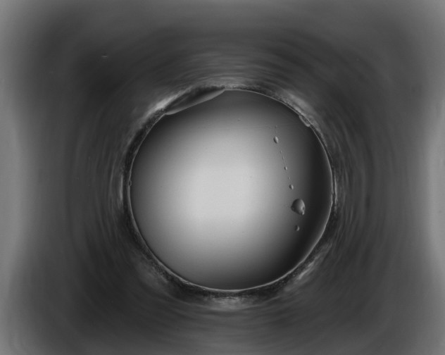 X0000086320301200704131700