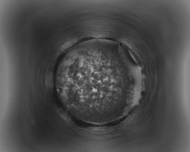 X0000086320303200704131700