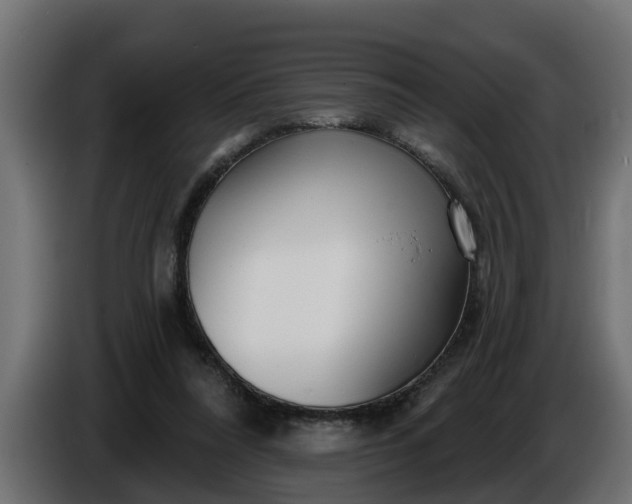 X0000086320304200704131700