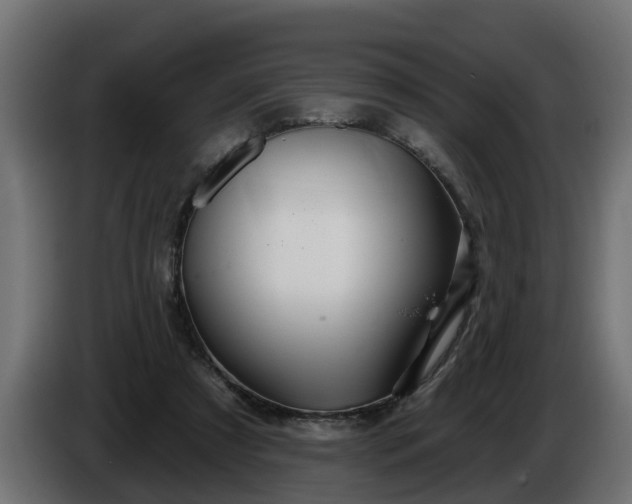 X0000086320305200704131700