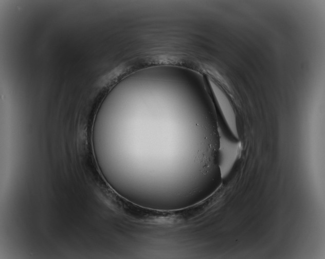 X0000086320306200704131700