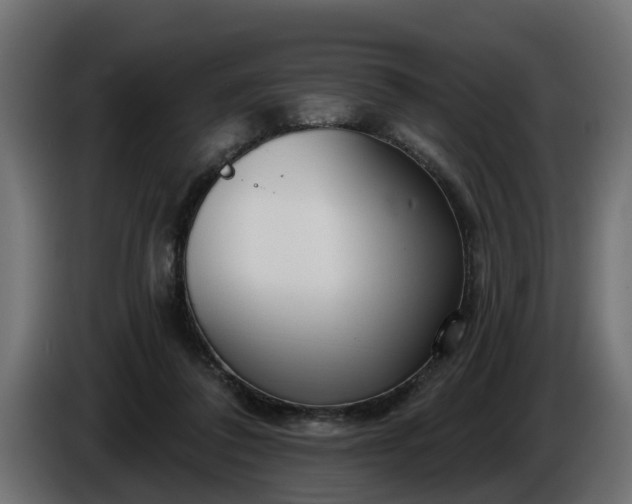 X0000086320308200704131659