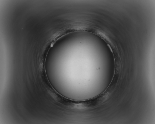 X0000086320309200704131659