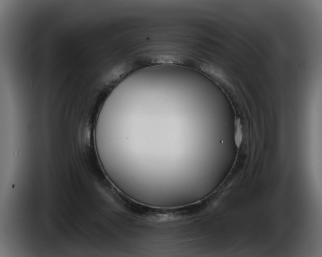 X0000086320310200704131659