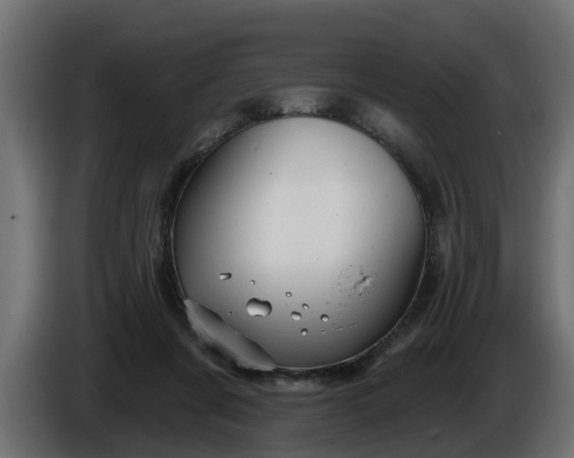 X0000086320311200704131659