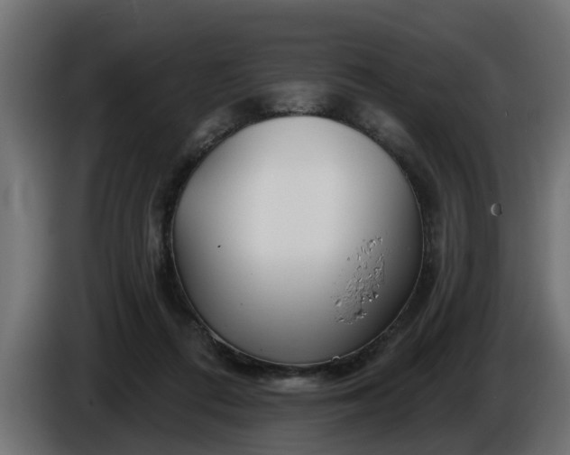 X0000086320312200704131659