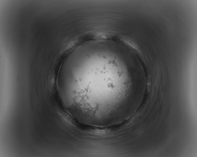 X0000086320314200704131659