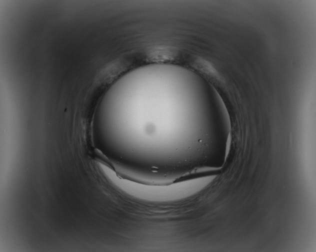 X0000086320315200704131659