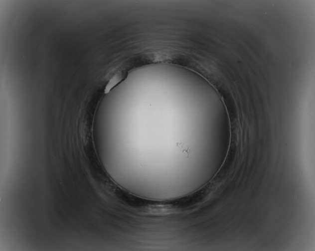 X0000086320316200704131659