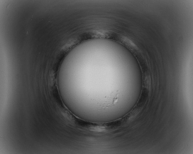 X0000086320318200704131659